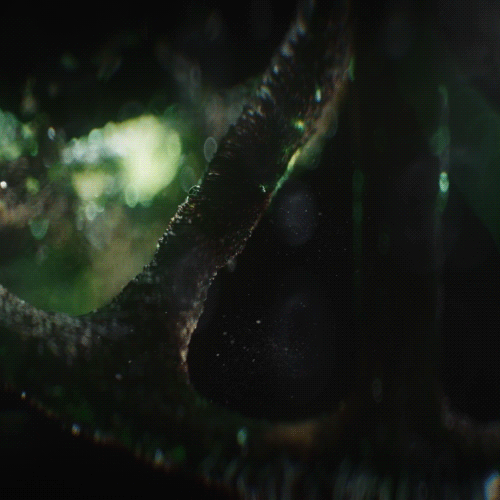 Tạo Kết Cấu Chân Thực Với Cinema 4D Và Octane